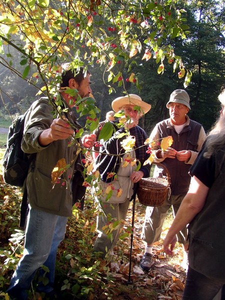2011 10 02 Baies et champignons 07